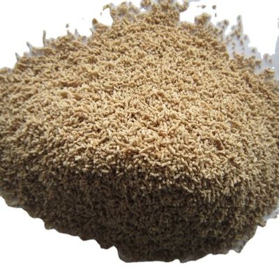 Qualität  1 kg HOT Dried Soup 500g*2/1Kg Hondashi Seasoning in Philippines usine