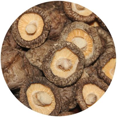 Qualität  Brown Lions Mane Mushroom Extract Dried Shiitake Mushroom 1kg/bag usine