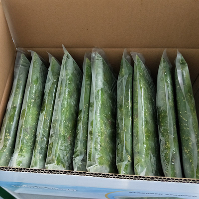Shandong Frostschnitte für süß-sauren Salat Gewürze 1 Jahr Haltbarkeit