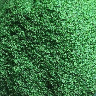 Hochfaserhaltige Speisen Trocknete Algen Grüne Laube Aonori Ulva Lactuca Pulver Backen oder Suppe
