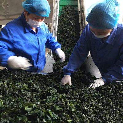 3cm Länge Dehydriertes Gemüse Getrocknetes Wakame Laver für Fast Food 20Kg Massenverpackung