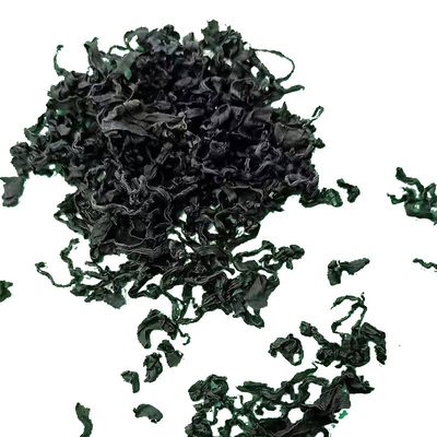 Normale Zutaten Algen Dunkelgrün Trocknete Meeresalgen Geruch Duftreich Trockene Schnittalgen Wakame