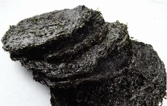 Das am besten gehütete Geheimnis der Laver-Sorte Porphyra haitanensis