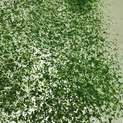 Verarbeitet, gewürzt, getrocknet AOSA Aonori Ulva Flakes mit normalen Zutaten