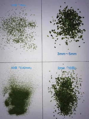 Malaysia Algen Ulva Flakes Getrocknete Aonori Algen Flakes Sorte Laver