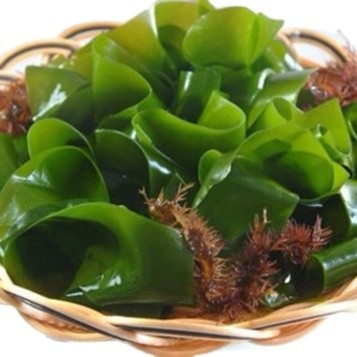 Aufbewahrungsart Normal 500g Chuka Wakame Trockenwasser Algen geschnitten Wakame