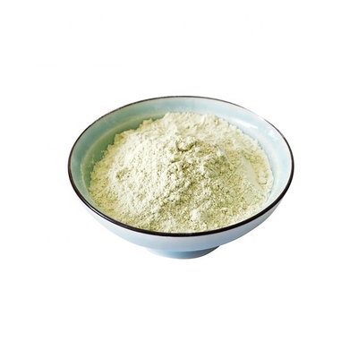 Senfpulver mit normalen Zutaten getrocknet Wasabi Horseradish Paste
