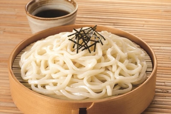 FROZENEN Udon-Nudeln mit Buchweizen im traditionellen japanischen Stil