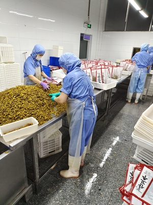 1 kg köstliche frisch eingelegte Shibazuke grüne eingelegte Pfeffer authentischer japanischer Geschmack