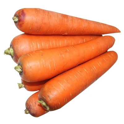 4 kg Natürliche Karotten Frisches Gemüse