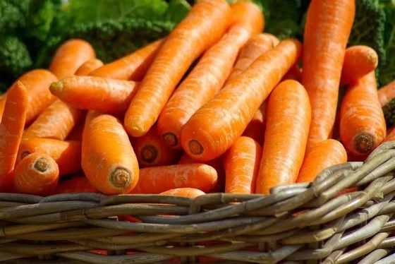4 kg Natürliche Karotten Frisches Gemüse