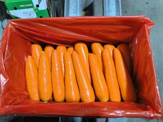 4 kg Natürliche Karotten Frisches Gemüse