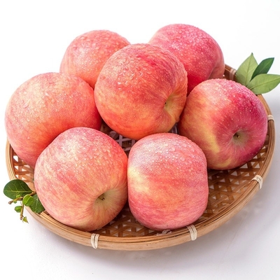 90% Reife Frische Fuji-Äpfel Beste und häufigste Anbauart