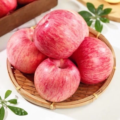 90% Reife Frische Fuji-Äpfel Beste und häufigste Anbauart