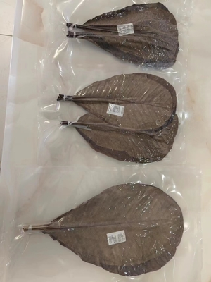 Sushi servieren mit frischen und natürlichen Bambusblattverpackungen
