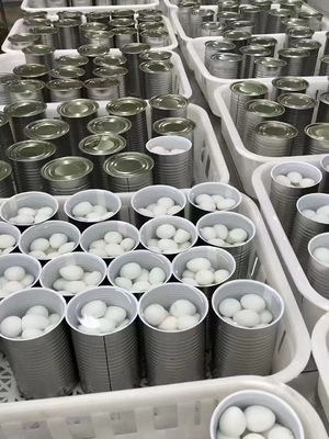 425 g gekochte Quaileneier für Kundenbedarf aus SHANDONG