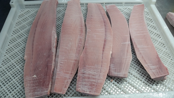 Shandong Gefrierter Gelbflossen Thunfisch 0,4 / 0,6 / 0,8 kg Sashimi Maguro für die Adresse