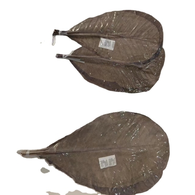 Machen Sie leckere Reiskuchen mit Vakuumgepackten Frischen Bambusblättern