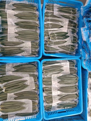Machen Sie leckere Reiskuchen mit Vakuumgepackten Frischen Bambusblättern