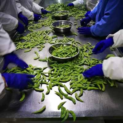 IQF-zertifizierte Tiefkühl-Edamame-Dampferzeugung der Klasse A für schnelle und einfache Snacks