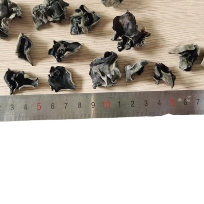KÖHL getrocknet Lagerart kultivierte getrocknete schwarze Pilze für die traditionelle chinesische Medizin
