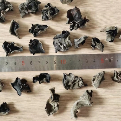 Kühl getrocknete Lagerung Art biologisch getrockneter Schwarzer Pilz in großen Mengen 4-5cm aus Indien und Marokko