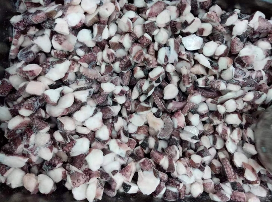 TAKO I.Q.F. aus Fujian