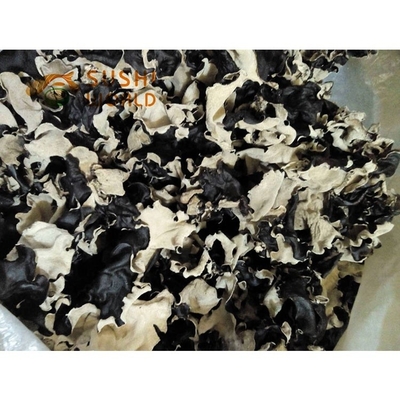 Quelle Kultivierte getrocknete Scheibe Schwarze AGARIC Pilze Haltbarkeit 24 Monate