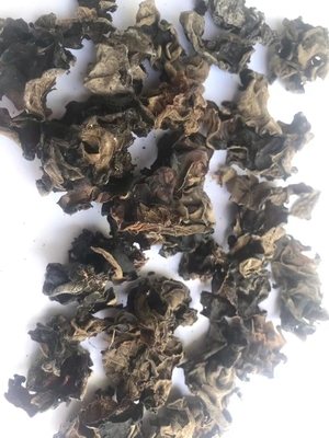 Quelle Kultivierte getrocknete Scheibe Schwarze AGARIC Pilze Haltbarkeit 24 Monate