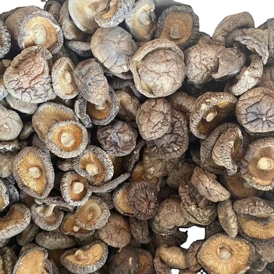 Brauner Löwenrasenpilzextrakt Getrockneter Shiitakepilz 1 kg/Tasche