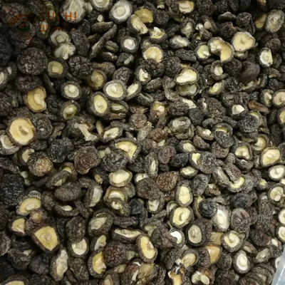 Pilze Schampignon Shiitake Stamm für getrocknete Shiitake Pilze