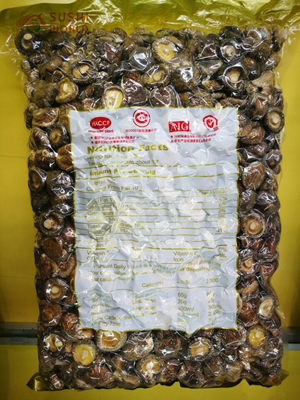 Pilze Schampignon Shiitake Stamm für getrocknete Shiitake Pilze